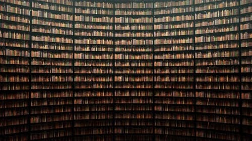 On The Library Shelf 11 4K