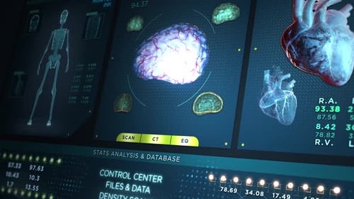 Menschliches Herz, Gehirn und Skelett