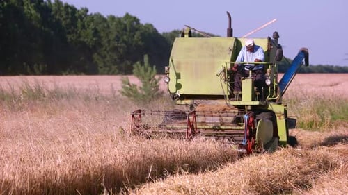 Combine Harvester, Dust Cloud.