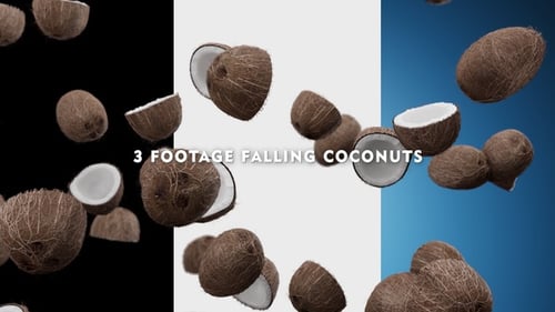 Pack Falling Coconuts