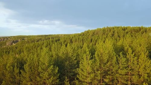 Natur