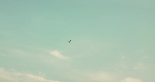 Airplane Flying High in the Daytime Sky