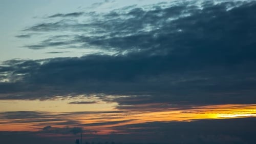 Epic Orange Sunrise And Big Plant With Clouds, Romance, Morning, Time Lapse
