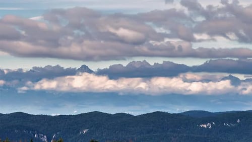 Clouds in Alpine Mountains Forest Landscape Nature