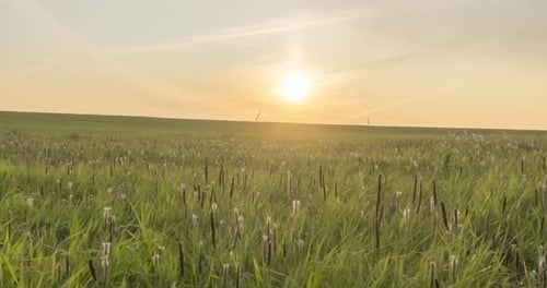 Hill Meadow Timelapse at the Summer or Autumn Time. Wild Endless Nature and Rural Field. Sun Rays