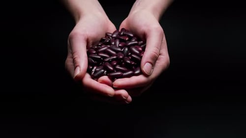 Hands Holding and Releasing Kidney Beans