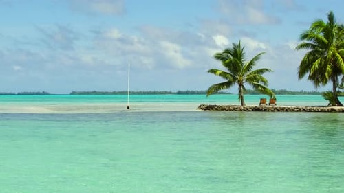 Tropical Beach with Palm Trees and Sunbeds