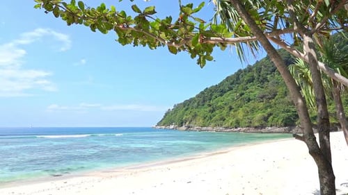 Pan left from a tropical white sand beach to the ocean and the incoming waves.