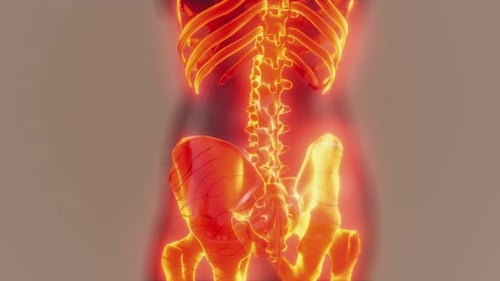 3D Human Skeleton Spine Rotation with Glowing Effect