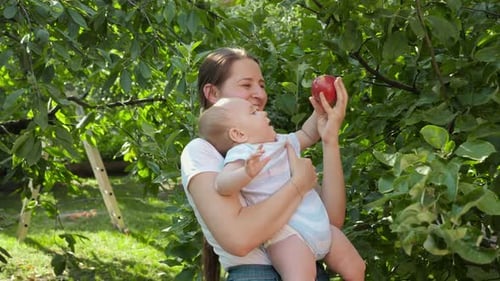 Young Smiling Mother Picking Ripe Apple From Tree Branch and Giving It to Her Baby Son
