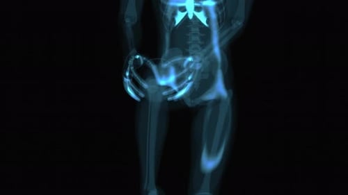 Digital Human Skeleton X-Ray Scan Animation