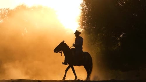 Lone Horseman Riding in Golden Hour Silhouette