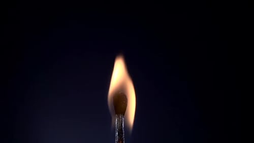 Burning Matchstick Ignites and Emits Smoke in Dark