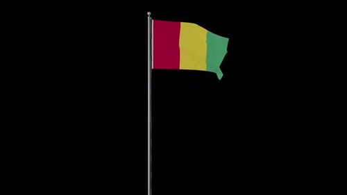 Realistic Guinea Flag Waving on Black Background
