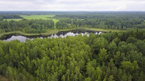 Small Lake In The Forest 20