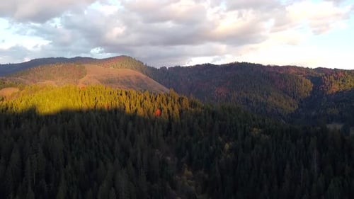 Flight Up Above Forest In Mountains In Autumn