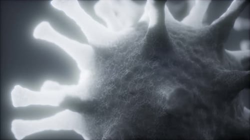 Animated Microscopic Biological Cell Particle Rotation
