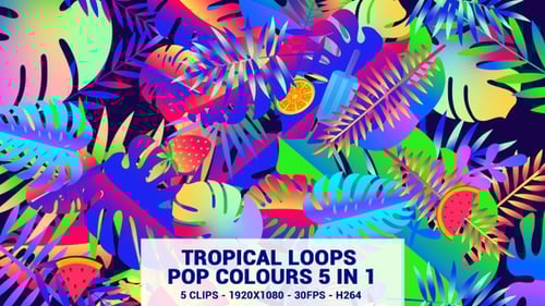Tropical Loops Pop Colours 5 In 1