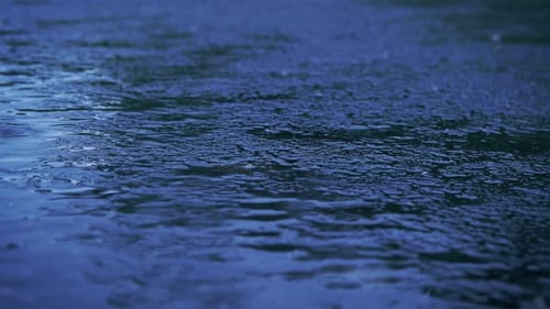Rain