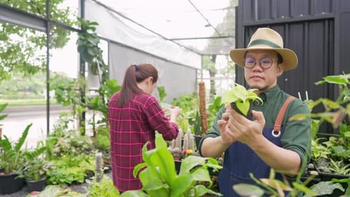 4K Asian man plant shop owner teaching woman employee caring plants and flowers