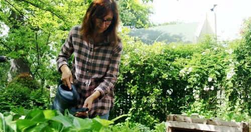 Mature woman watering plants in the garden 4k