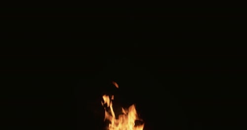 Flame Background Fire Sparks Black Night Bonfire