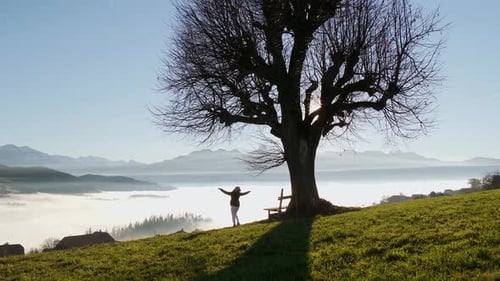 Freedom Lifestyle Portrait of Carefree Woman Standing on Hill Landscape Tree Viewpoint Outdoors