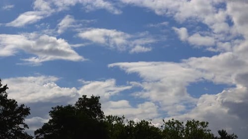Trees And Clouds