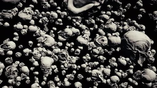 Scary Ancient Skulls 4k