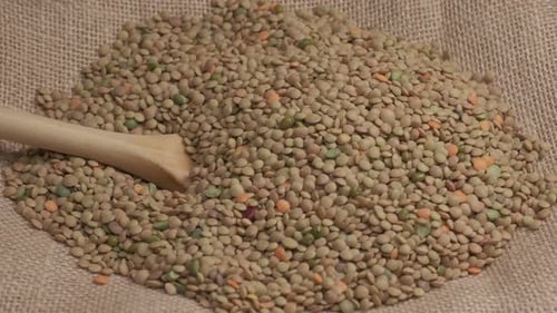 Lentils Piled on Burlap with Wooden Spoon