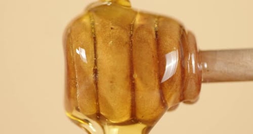 Fresh Honey Drains with a Wooden Spoon.