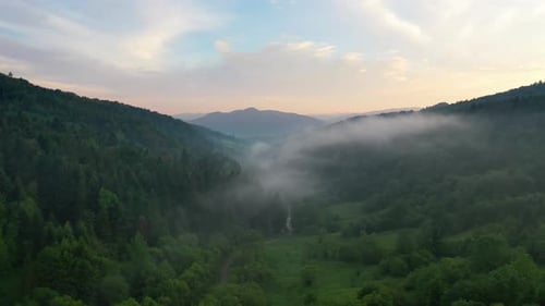Nature. Fog over the forest in the mountain valley. View from the air. Summer landscape
