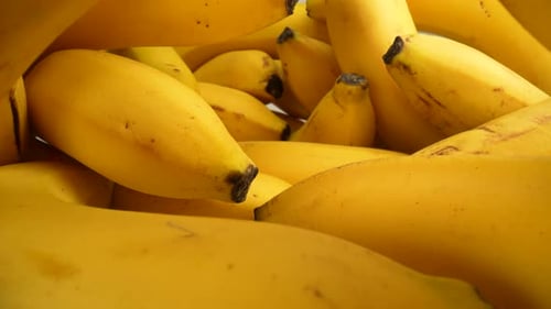 Banana 23