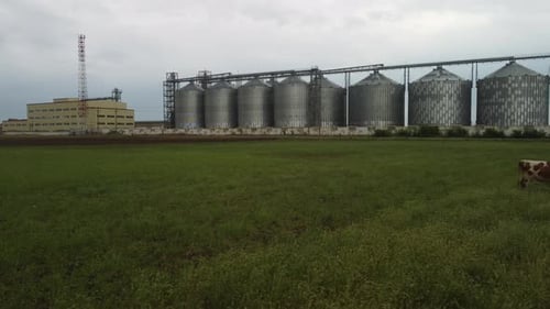 Getreideaufzug