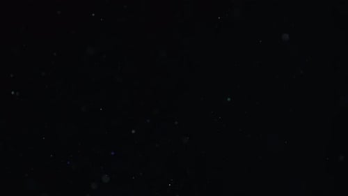Sparkling Dust Particles Floating on Black Background