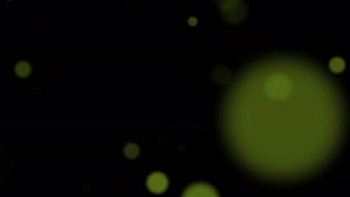 Green Bokeh Lights Particles