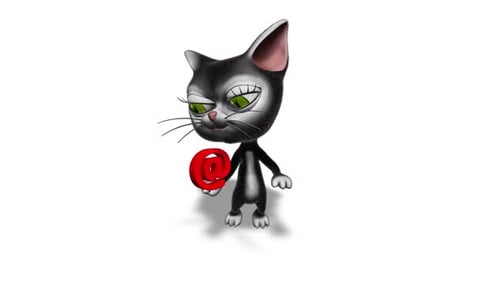3D Kitty Cat Show Email Looped on White