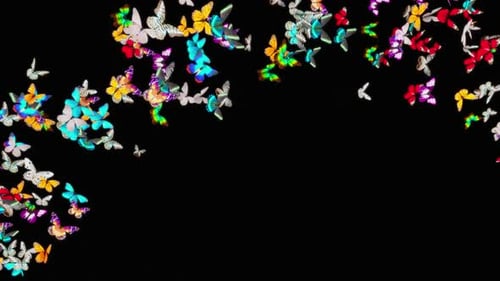 Schmetterling HD