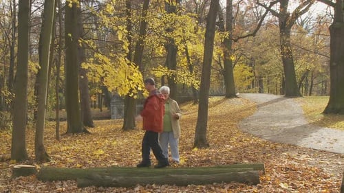 Pensioner Balancing on Treetrunk