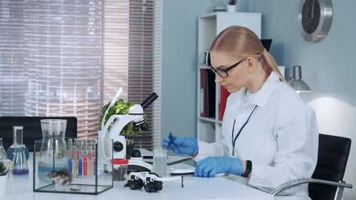 Woman Scientist Works with Lab Equipment