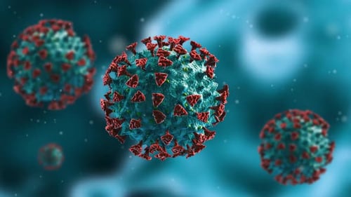 Microscopic Virus Particles Floating in 3D Medical Animation