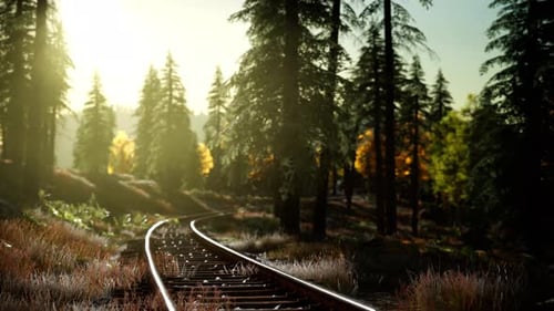 Scenic Railway Track in Autumn Forest with Sunlight
