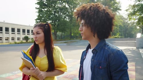 Couple of Multiethnic Students Talking Near College
