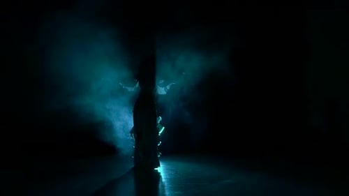 Exotic Belly Dancer Woman, Shaking Her Hips, on Black, Slow Motion, Silhouette, Smoke