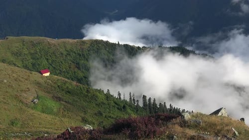 Single Highland Mountain House on Above the Clouds in Forest