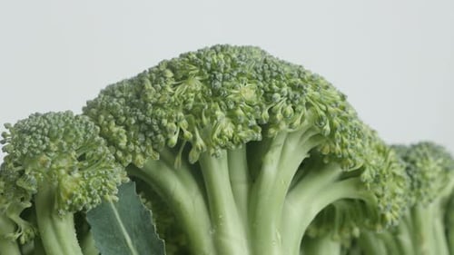 Organic Brassica oleracea slow tilt 4K 2160p 30fps UltraHD footage - Green broccoli floret close-up