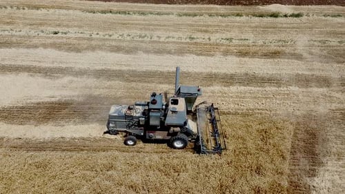 Harvester sammelt