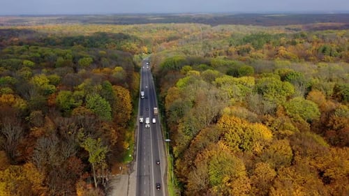 Road with cars in forest.