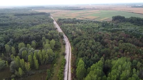 Above Forest And Road