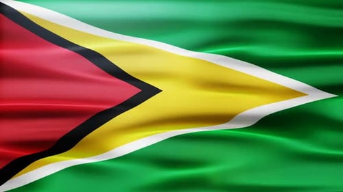 Detailed Waving Flag of Guyana Seamless Loop
